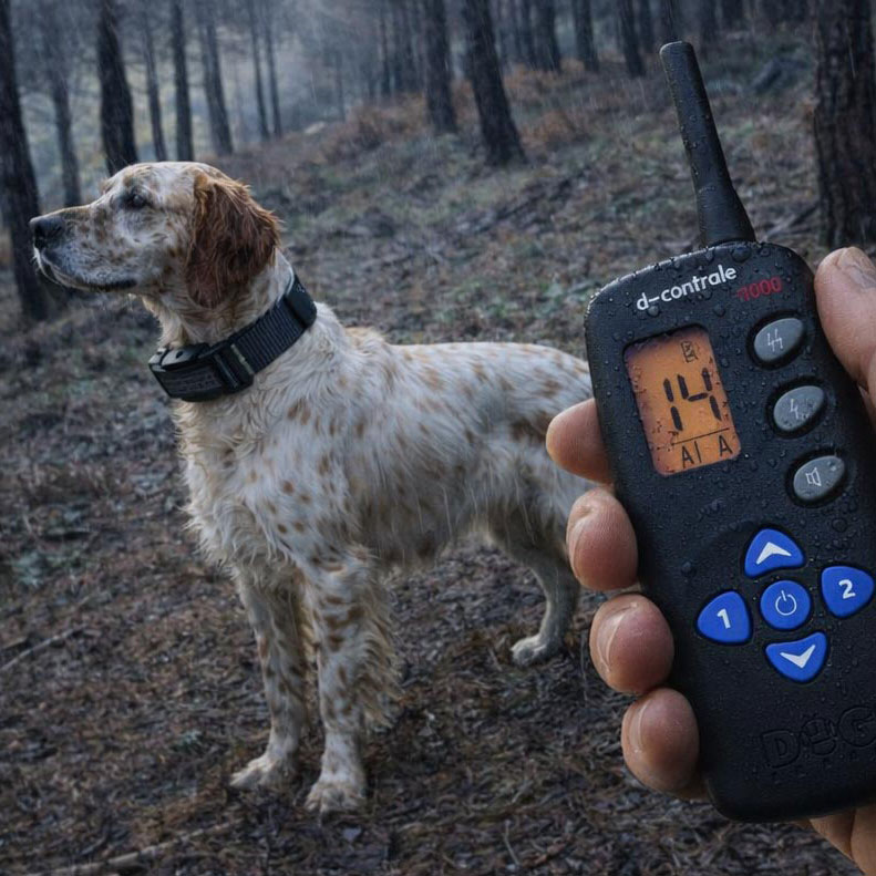 collares educativos para perros de caza en armería reclamo, ourense