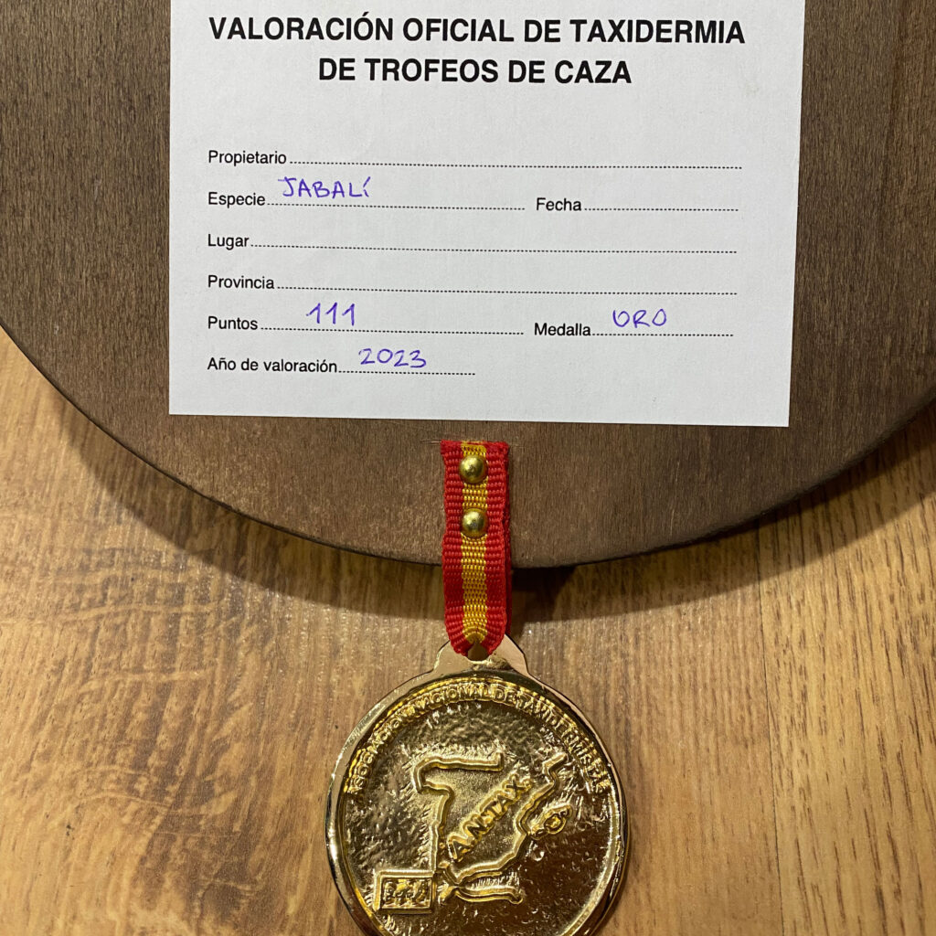 Servicio de taxidermia de Armería Reclamo en Viana do Bolo, Ourense